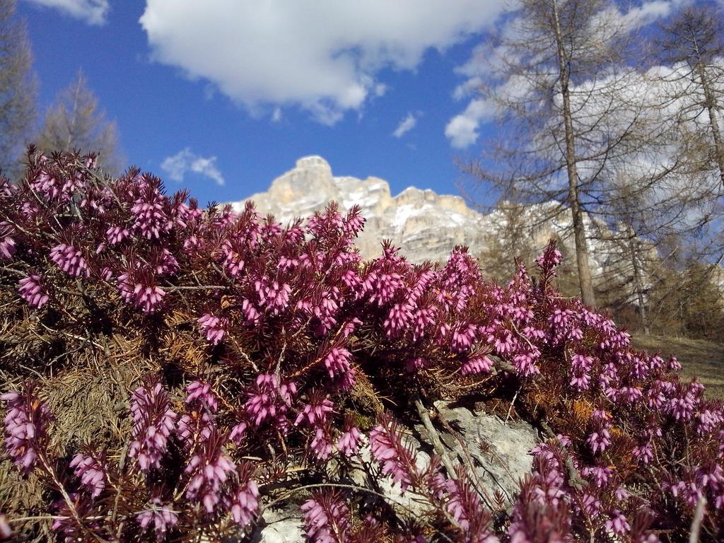 Villa Hilde San Cassiano  Dış mekan fotoğraf